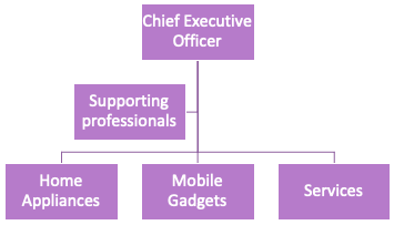 New Organizational Structure
