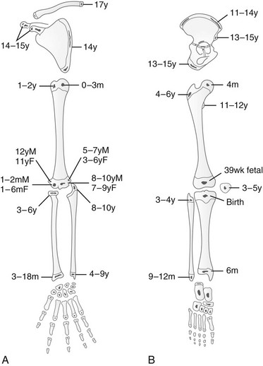 Ossification of the prominent bones of the upper (A) and lower (B) limbs.