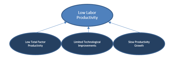 Reasons for Low Labor Productivity.