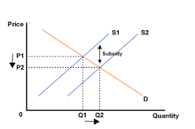 Subsidy's Effect On Product Supply and Pricing
