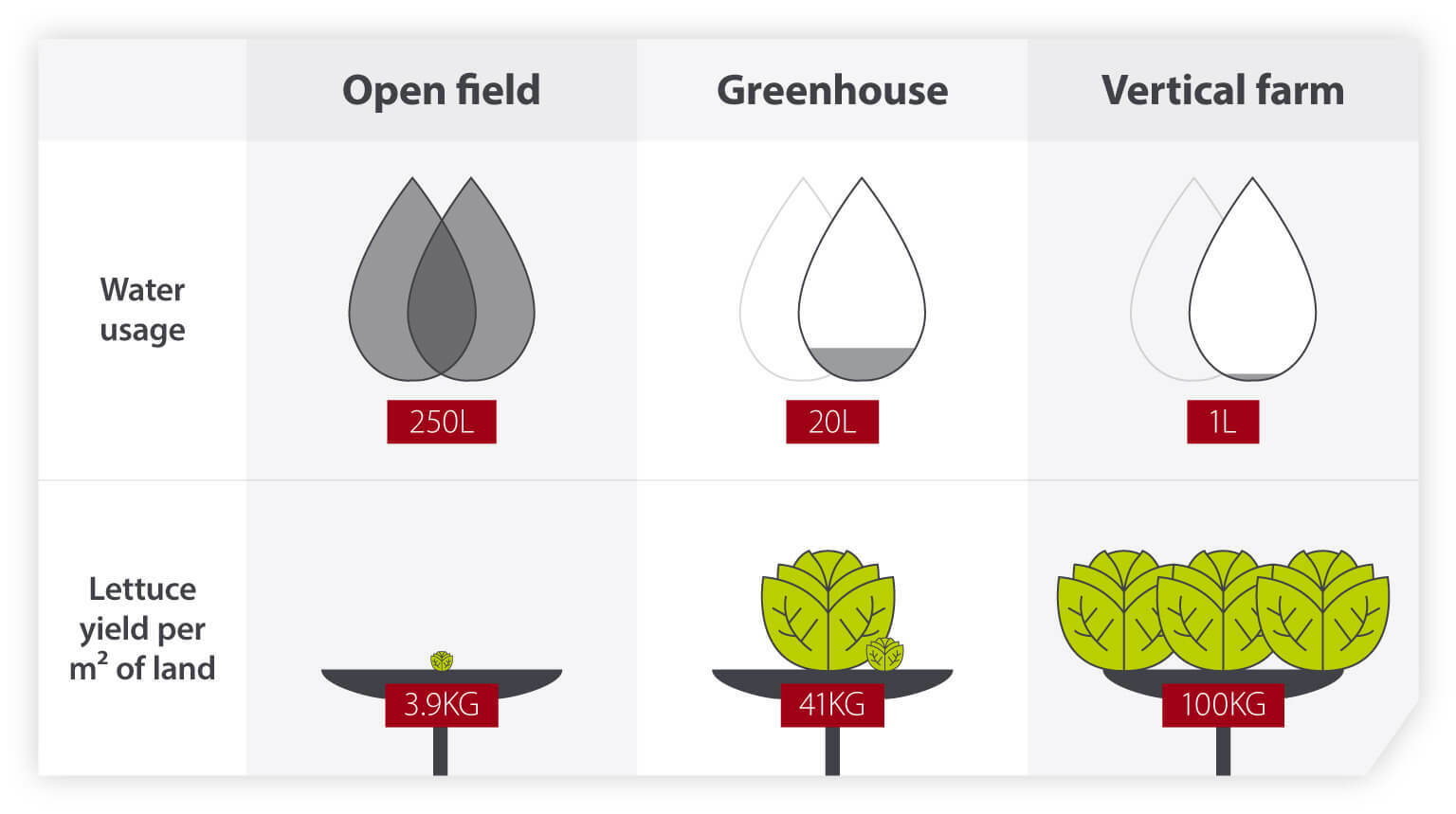 Comparing vertical farms, greenhouses, and open-field farming.