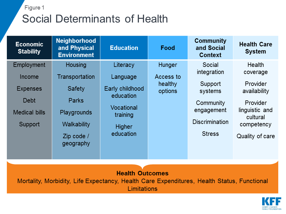 Social Determinants of Health.