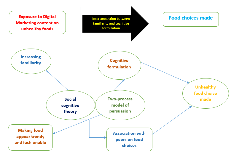 Visual Representation of the Theoretical Framework.