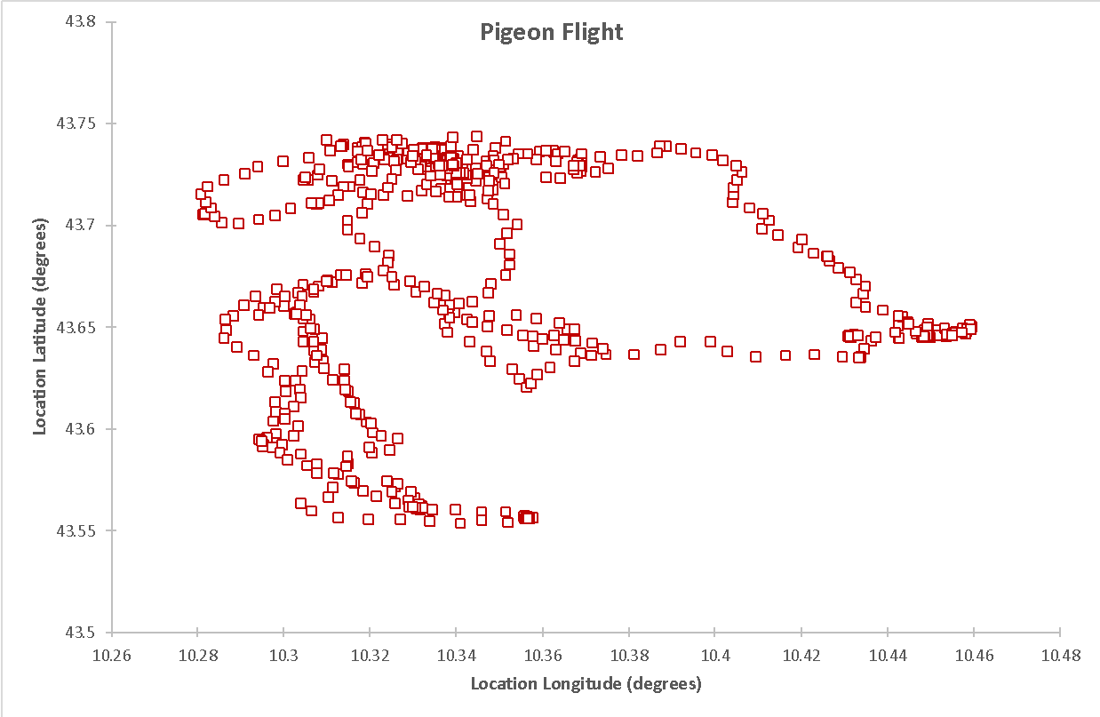 Scatter plot for the geographic movement of a pigeon.