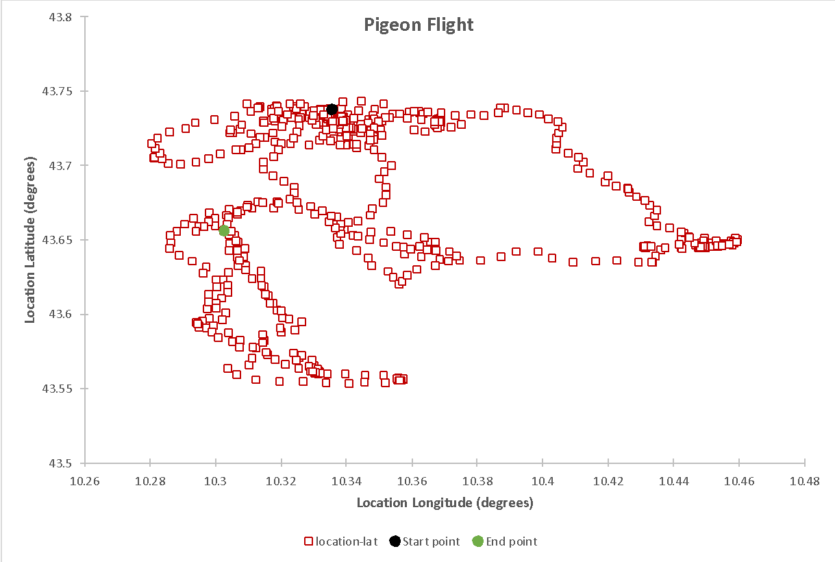 Scatter plot for the geographic movement of a pigeon with a start and end point.
