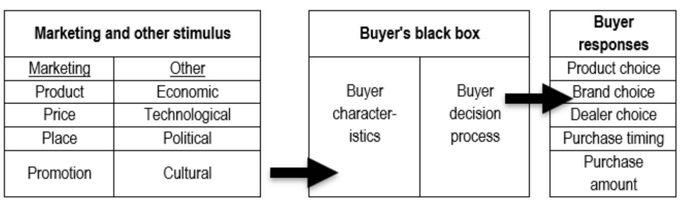 Components of Kotler’s consumer model.