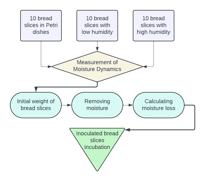 Experiment Process.