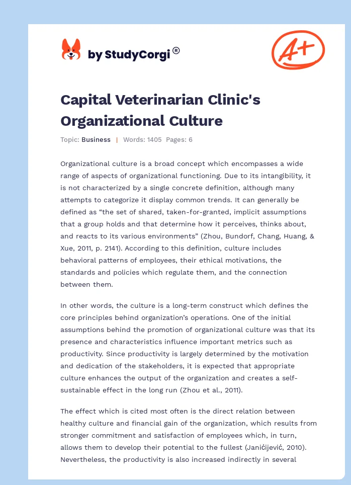 Capital Veterinarian Clinic's Organizational Culture. Page 1