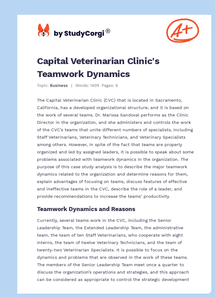 Capital Veterinarian Clinic's Teamwork Dynamics. Page 1