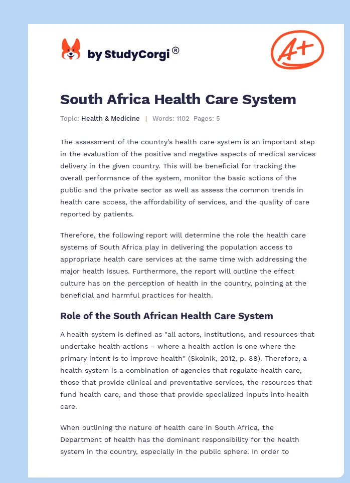 South Africa Health Care System. Page 1