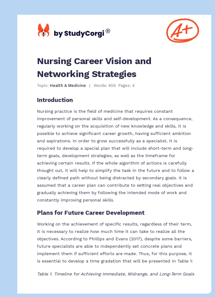 Nursing Career Vision and Networking Strategies. Page 1