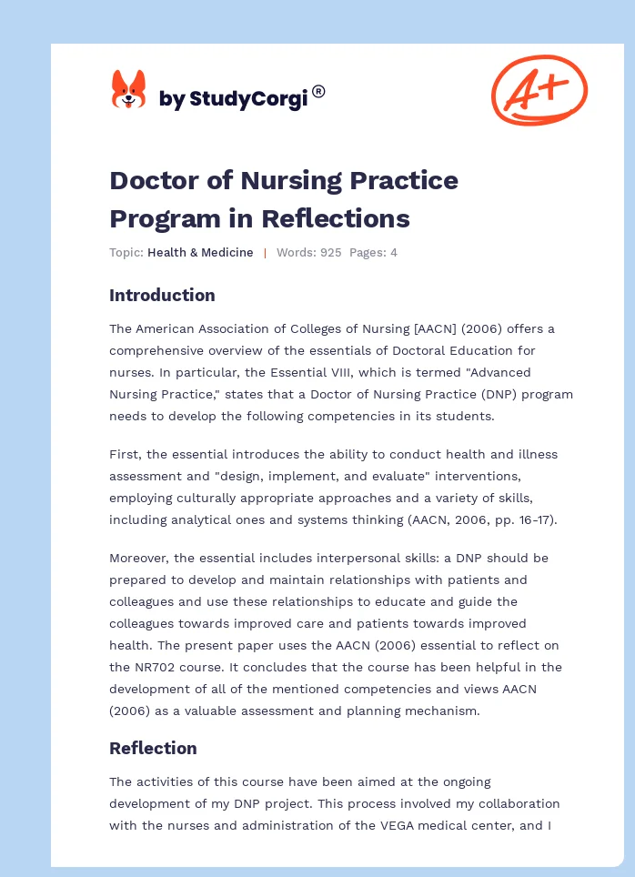 Doctor of Nursing Practice Program in Reflections. Page 1
