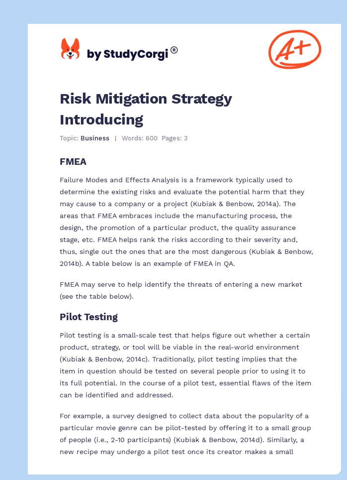 Risk Mitigation Strategy Introducing. Page 1