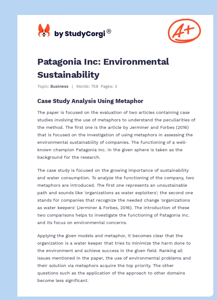 Patagonia Inc: Environmental Sustainability. Page 1