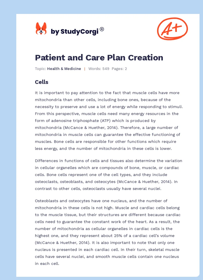Patient and Care Plan Creation. Page 1