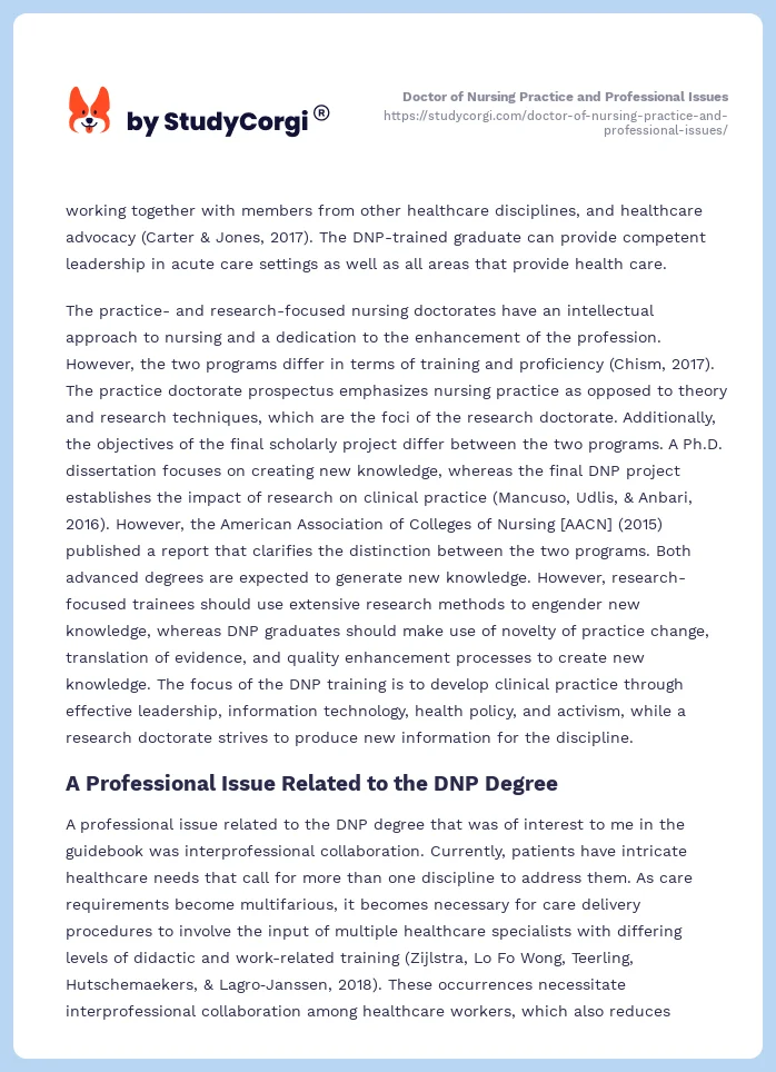 Doctor of Nursing Practice and Professional Issues. Page 2