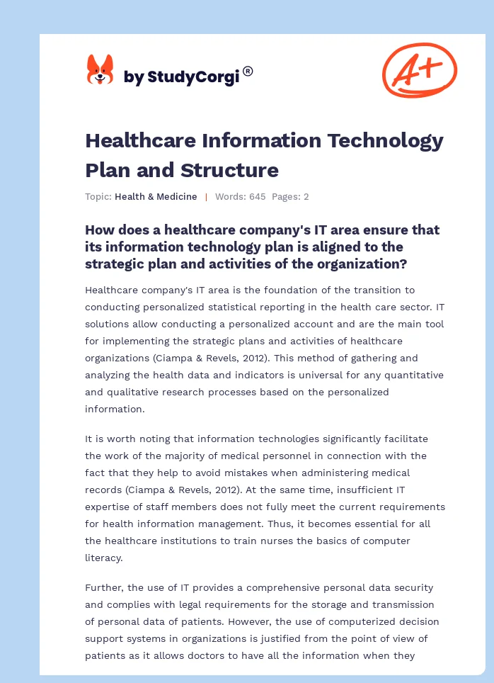 Healthcare Information Technology Plan and Structure. Page 1