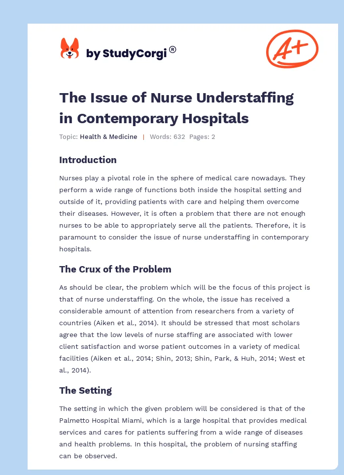 The Issue of Nurse Understaffing in Contemporary Hospitals. Page 1