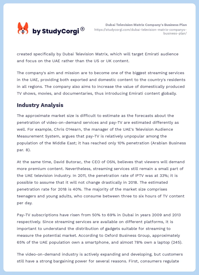 Dubai Television Matrix Company's Business Plan. Page 2