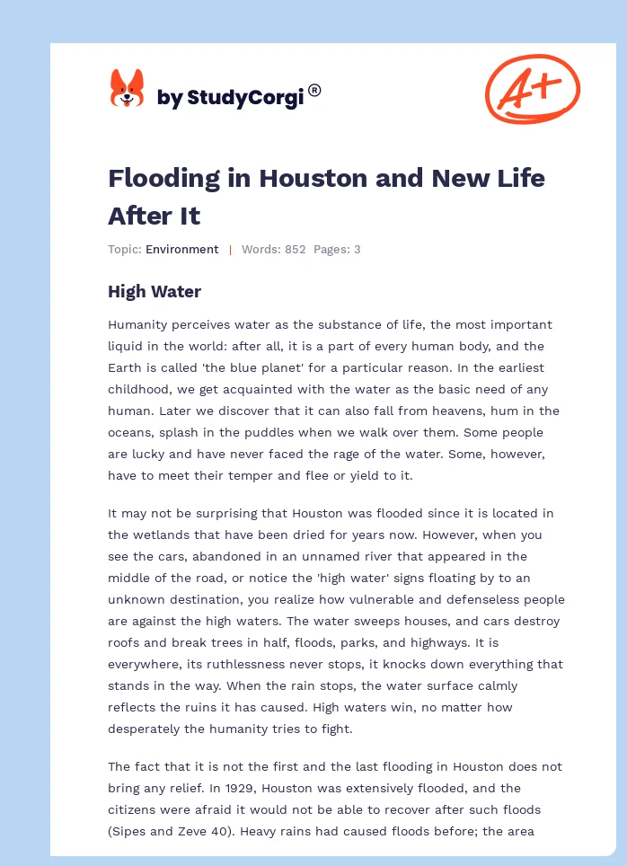 Flooding in Houston and New Life After It. Page 1