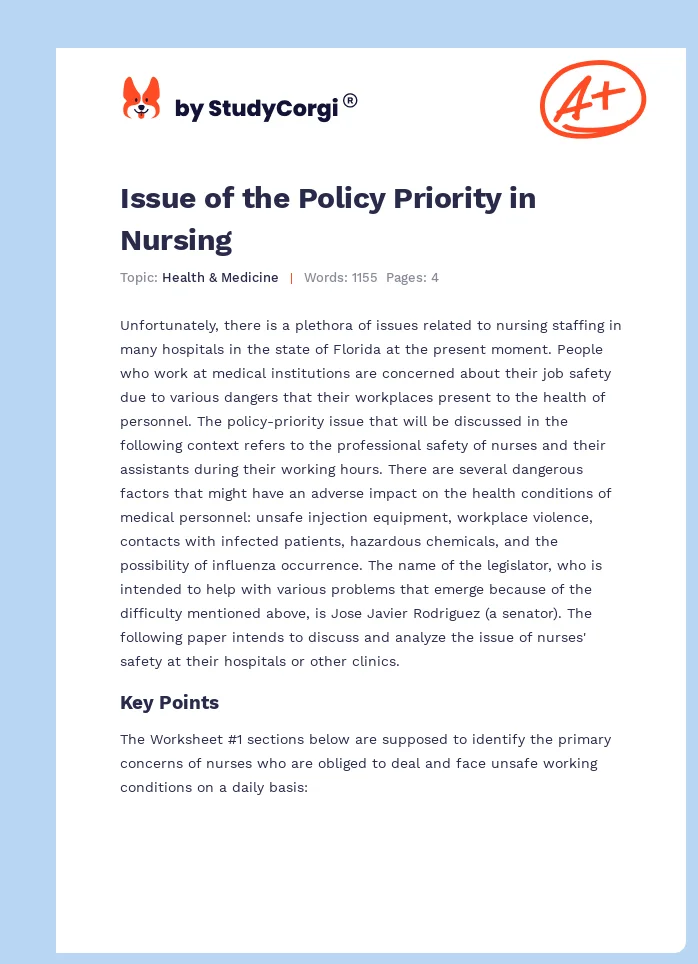 Issue of the Policy Priority in Nursing. Page 1