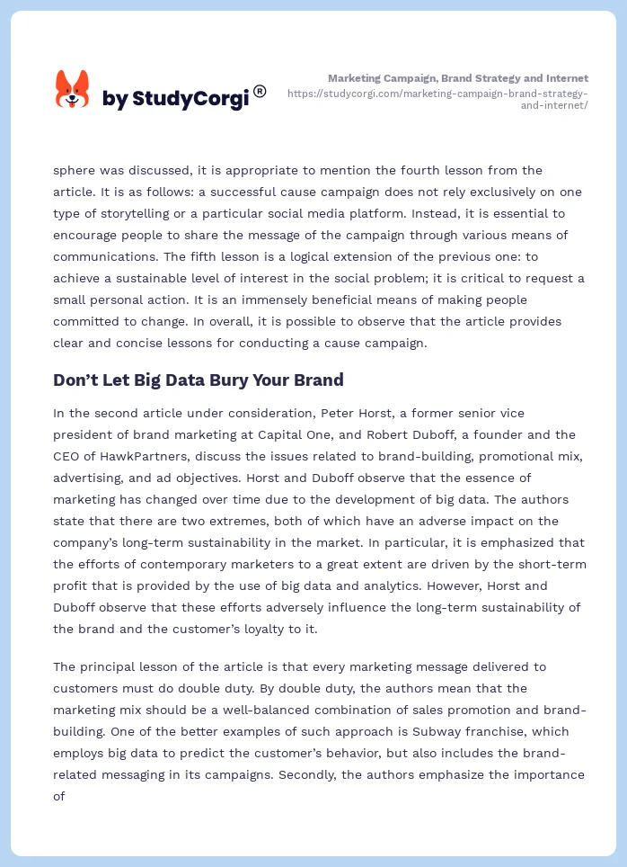 Marketing Campaign, Brand Strategy and Internet. Page 2