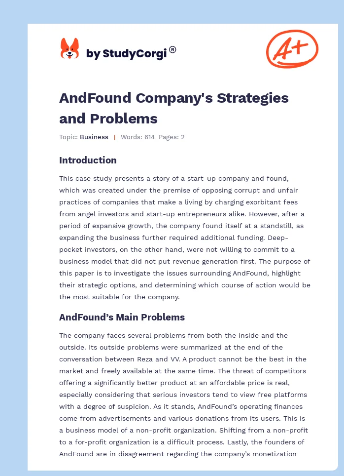 AndFound Company's Strategies and Problems. Page 1
