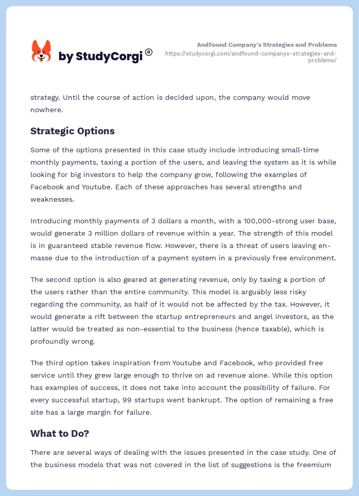 AndFound Company's Strategies and Problems. Page 2
