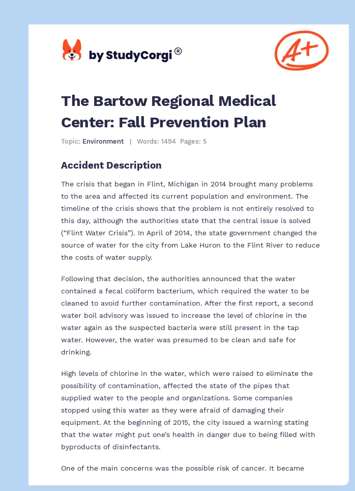 The Bartow Regional Medical Center: Fall Prevention Plan. Page 1