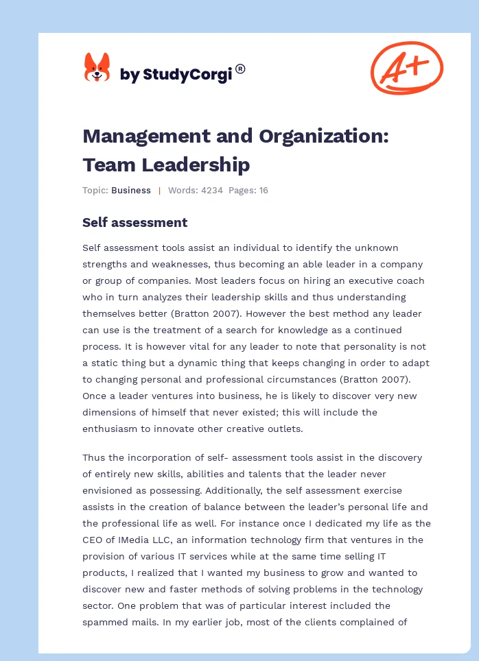 Management and Organization: Team Leadership. Page 1