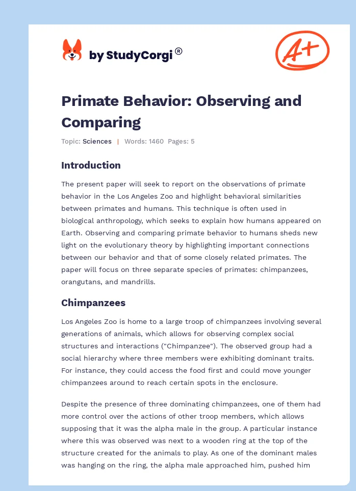 Primate Behavior: Observing and Comparing. Page 1