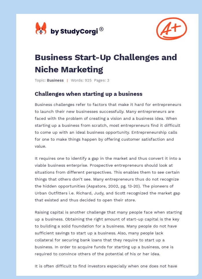 Business Start-Up Challenges and Niche Marketing. Page 1