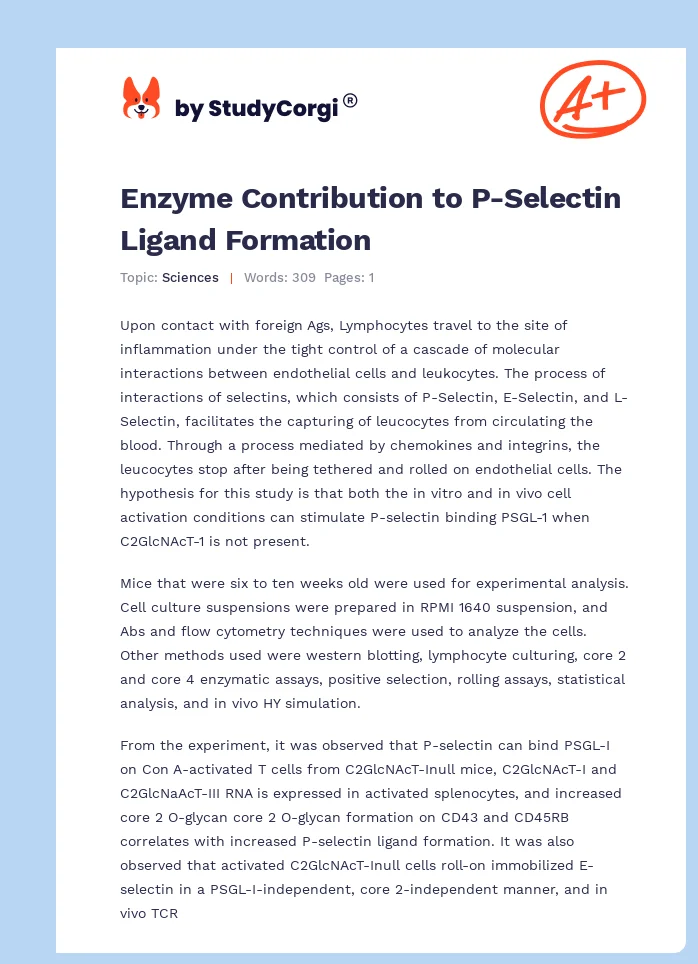 Enzyme Contribution to P-Selectin Ligand Formation. Page 1