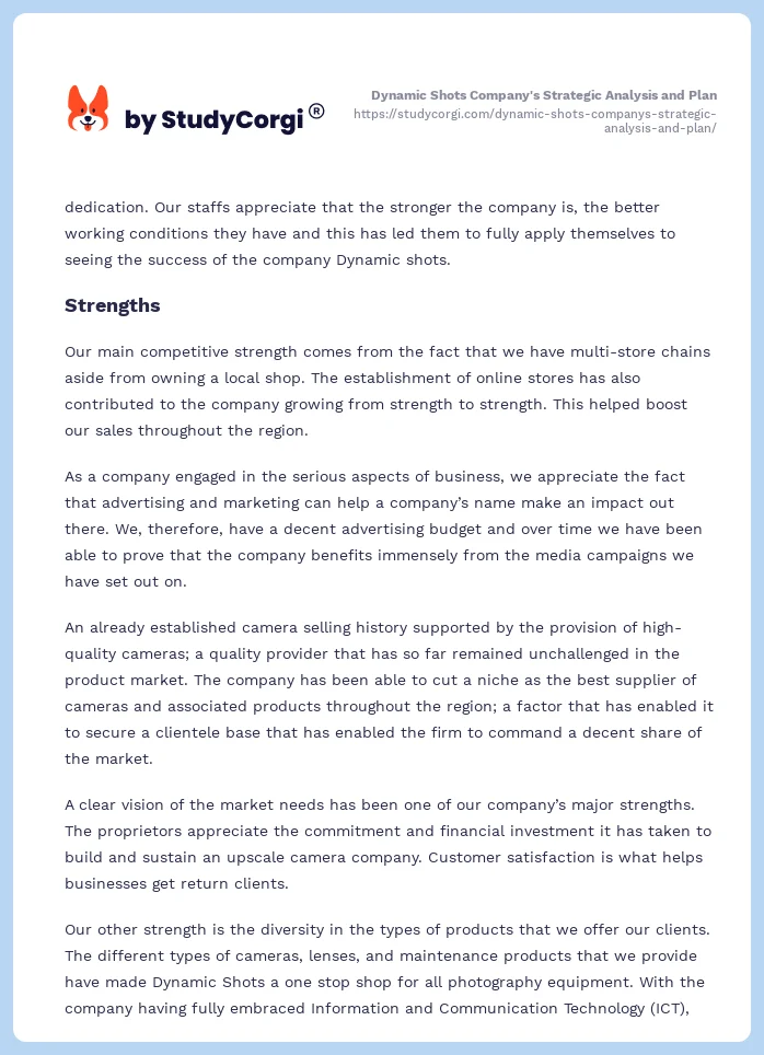 Dynamic Shots Company's Strategic Analysis and Plan. Page 2