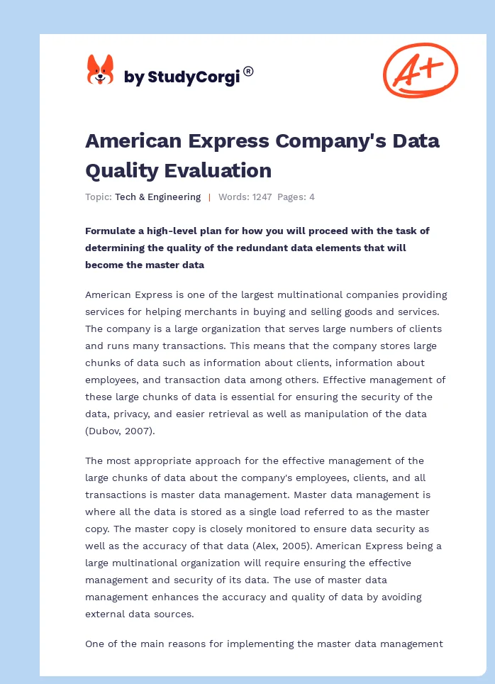 American Express Company's Data Quality Evaluation. Page 1