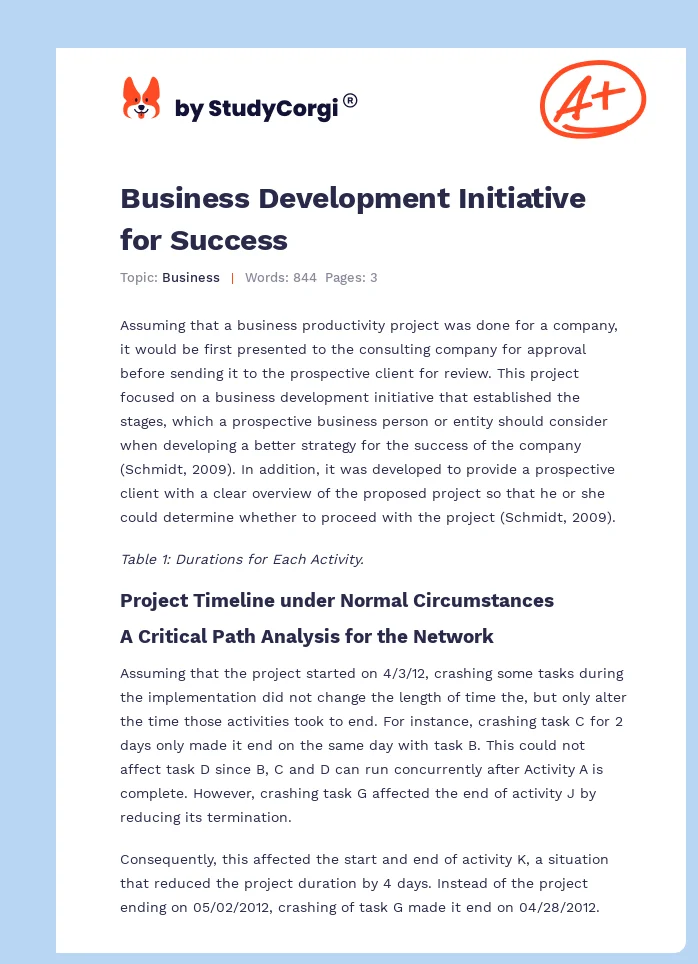 Business Development Initiative for Success. Page 1