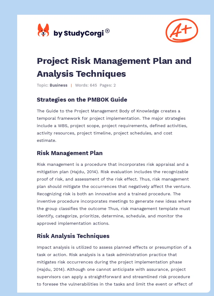 Project Risk Management Plan and Analysis Techniques. Page 1
