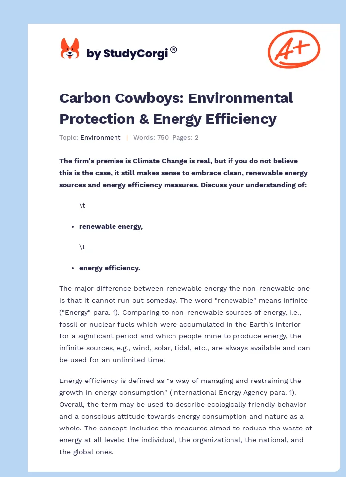 Carbon Cowboys: Environmental Protection & Energy Efficiency. Page 1