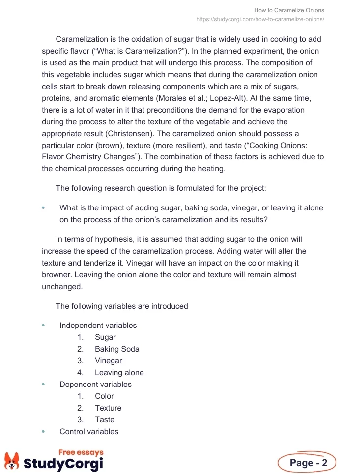 How to Caramelize Onions. Page 2