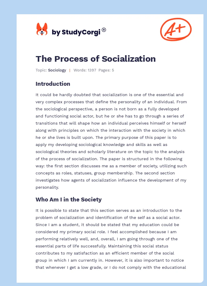 write an essay on socialization process