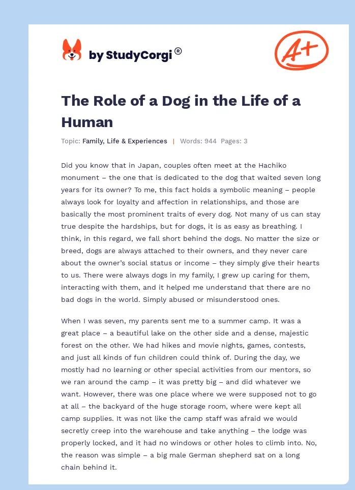 The Role of a Dog in the Life of a Human. Page 1