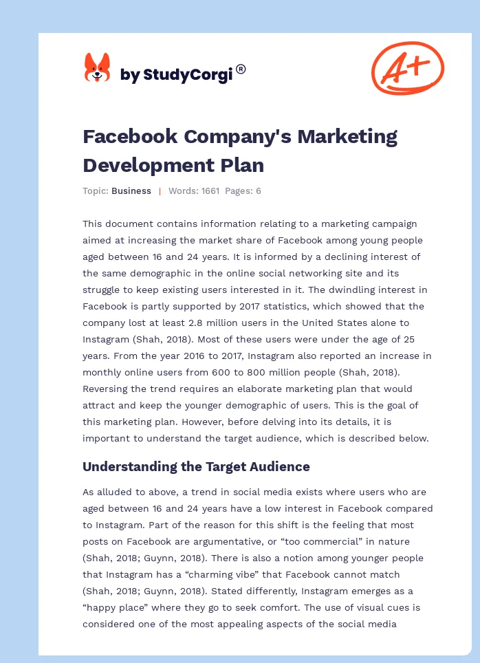 Facebook Company's Marketing Development Plan. Page 1
