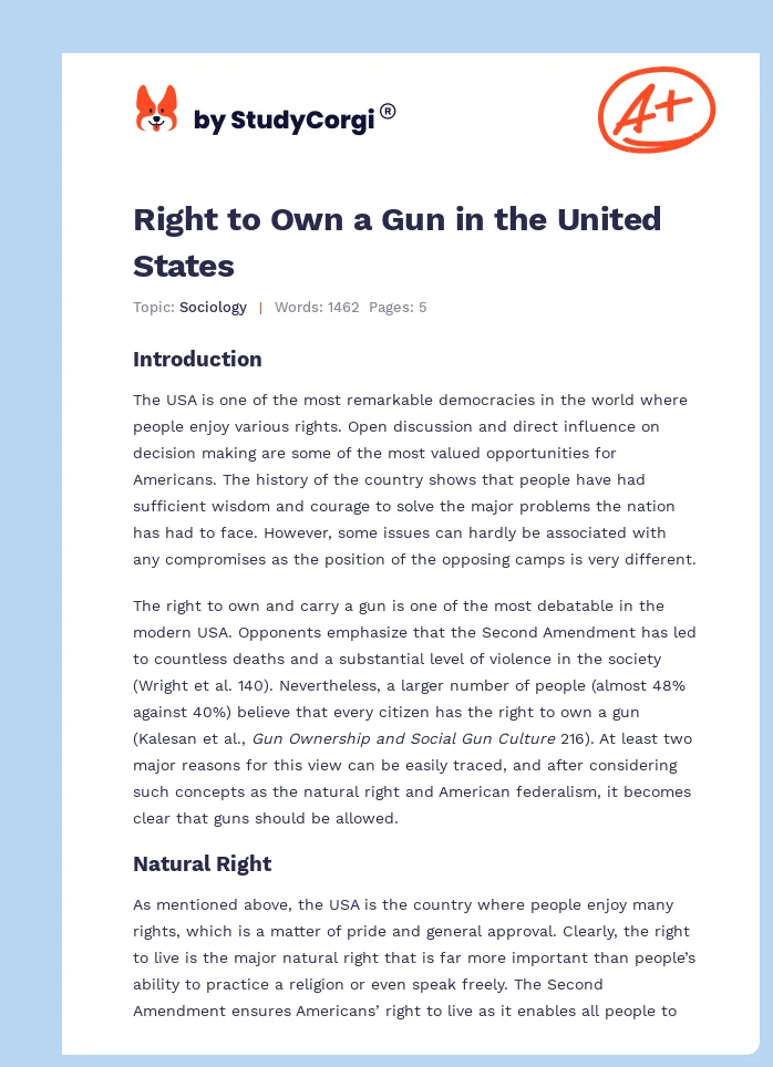 Right to Own a Gun in the United States. Page 1