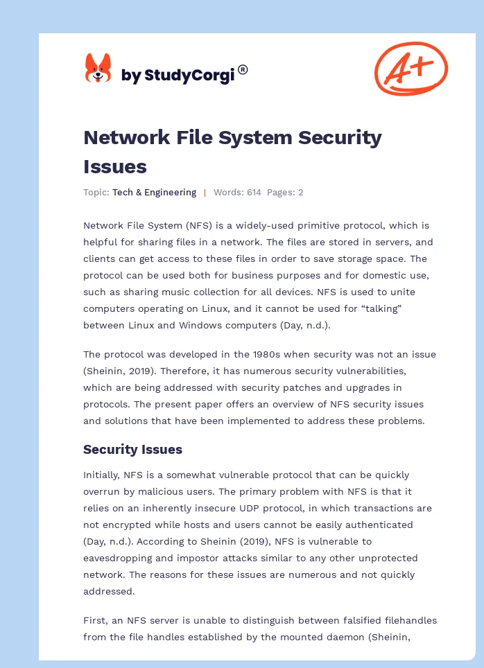 Network File System Security Issues. Page 1