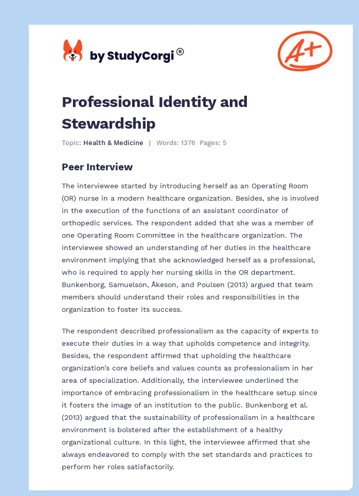 Professional Identity and Stewardship. Page 1
