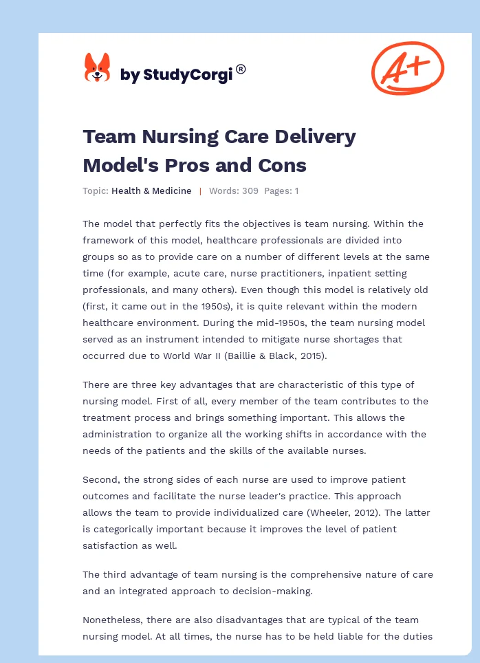Team Nursing Care Delivery Model's Pros and Cons. Page 1