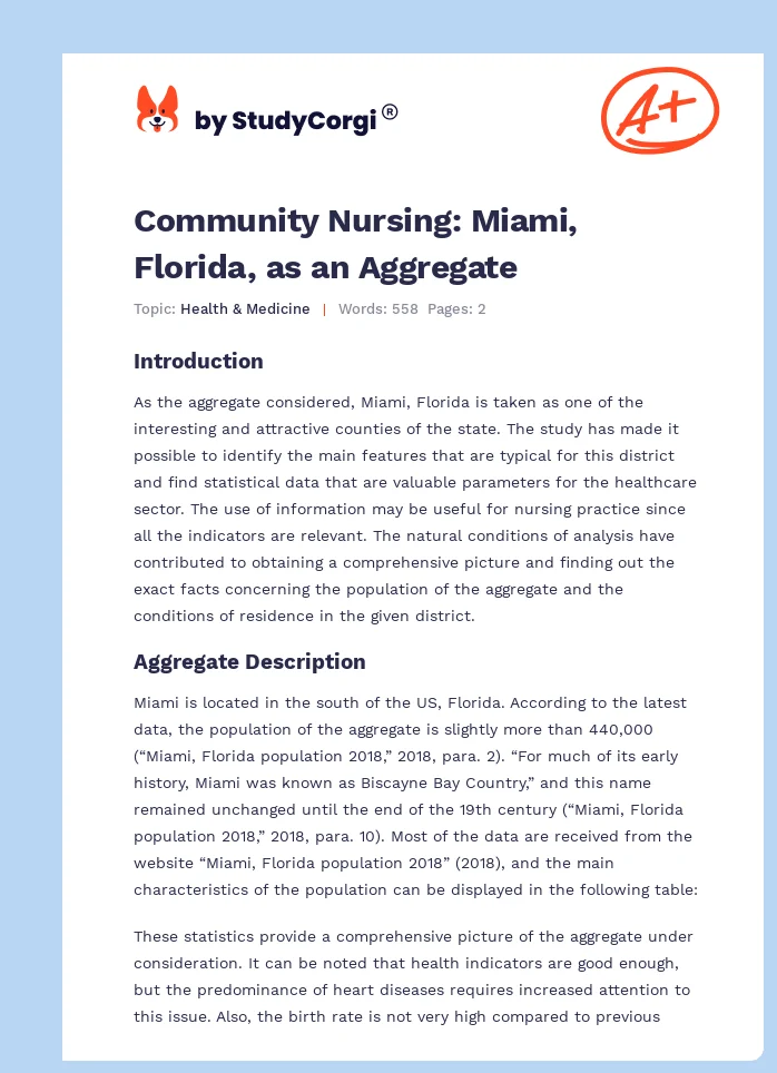 Community Nursing: Miami, Florida, as an Aggregate. Page 1