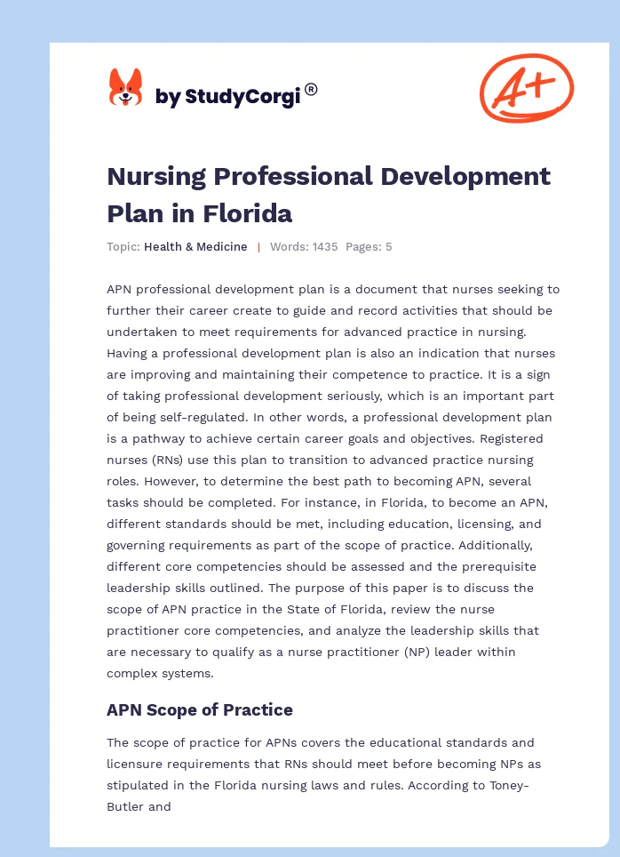 Nursing Professional Development Plan in Florida. Page 1