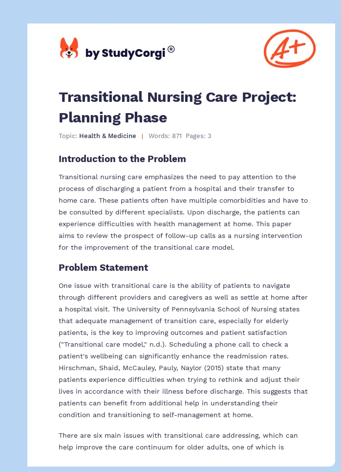 Transitional Nursing Care Project: Planning Phase. Page 1