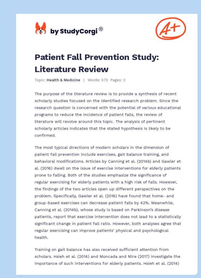 Patient Fall Prevention Study: Literature Review. Page 1